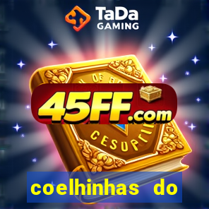 coelhinhas do brasil recife